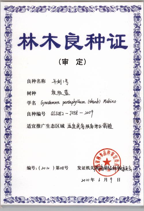 茶与绞股蓝 从种植到销售的全产业链探索